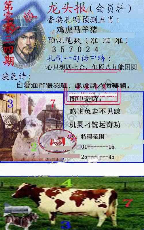 龙头报