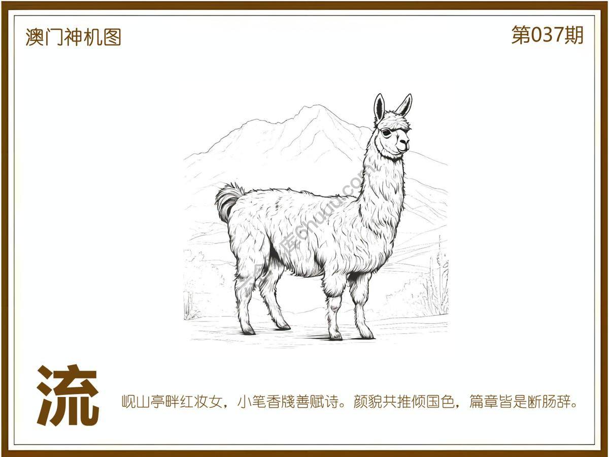 澳门神机图