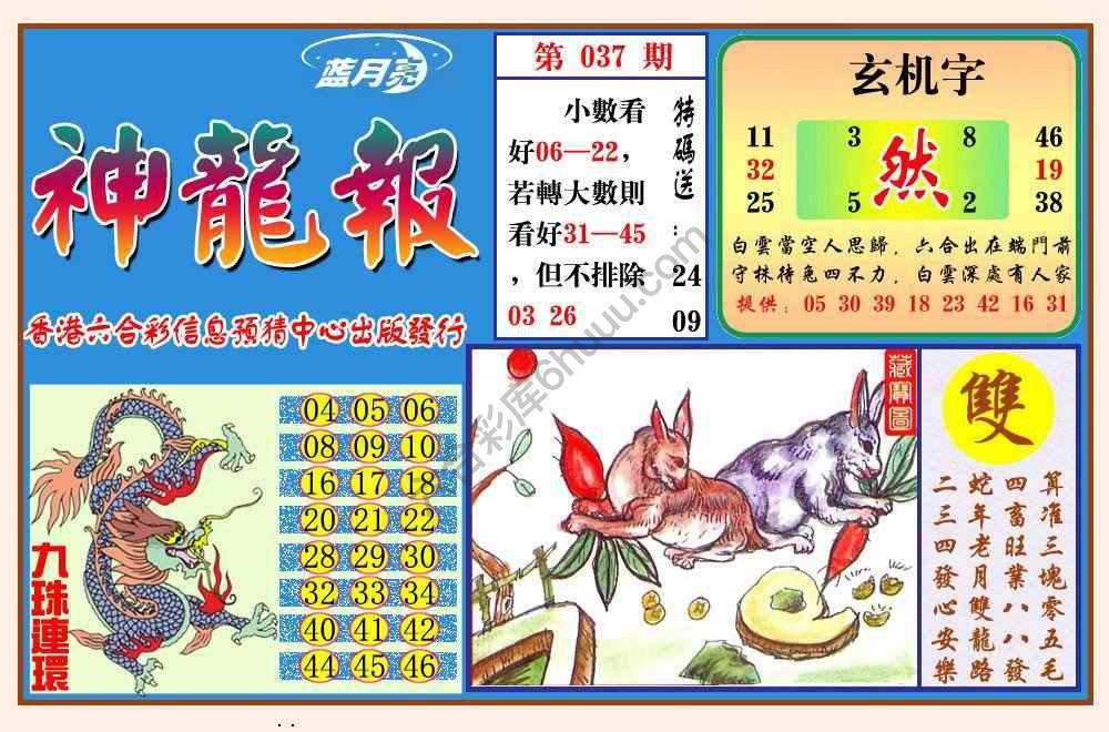 蓝月亮神龙报
