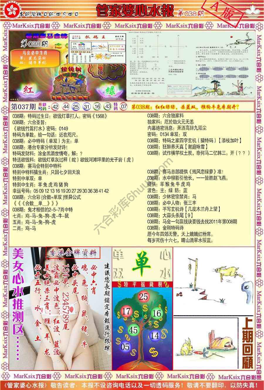 管家婆心水报