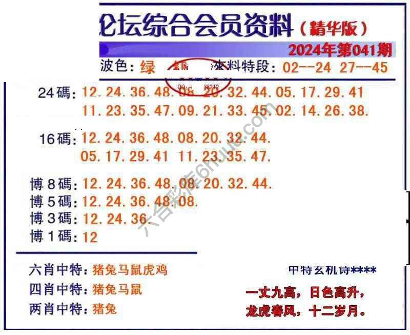 综合会员资料