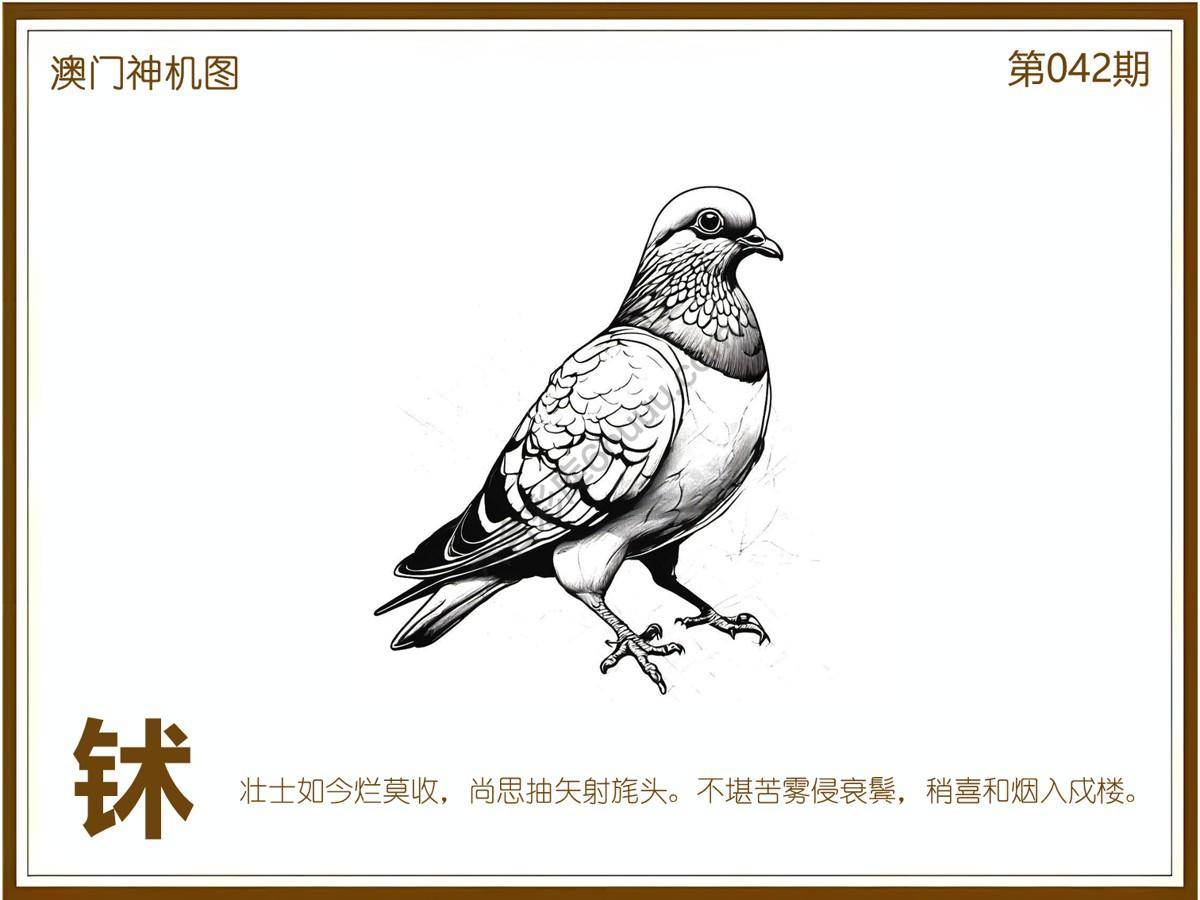 澳门神机图
