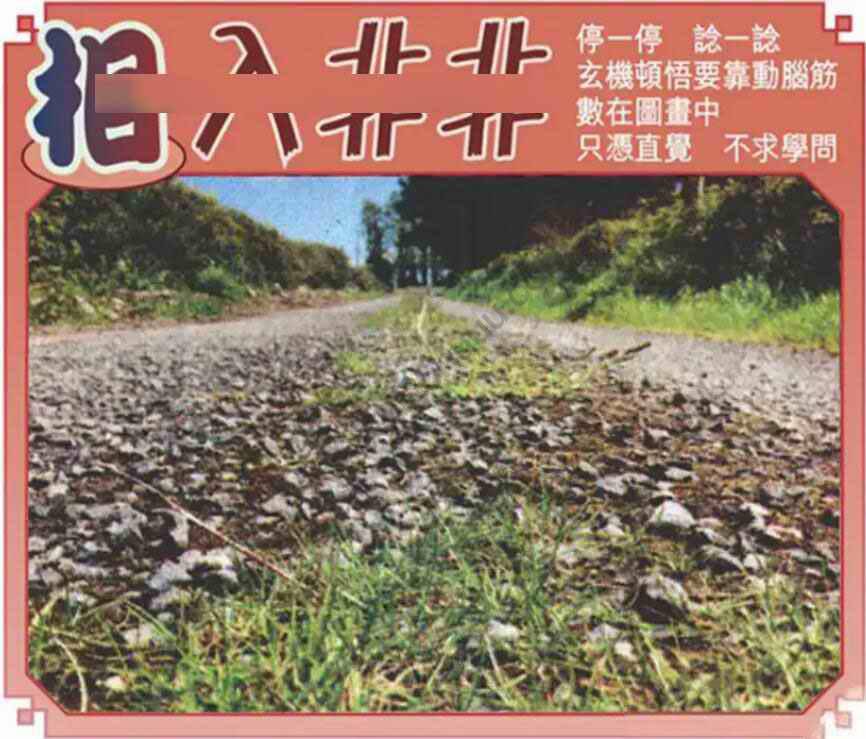 相入非非