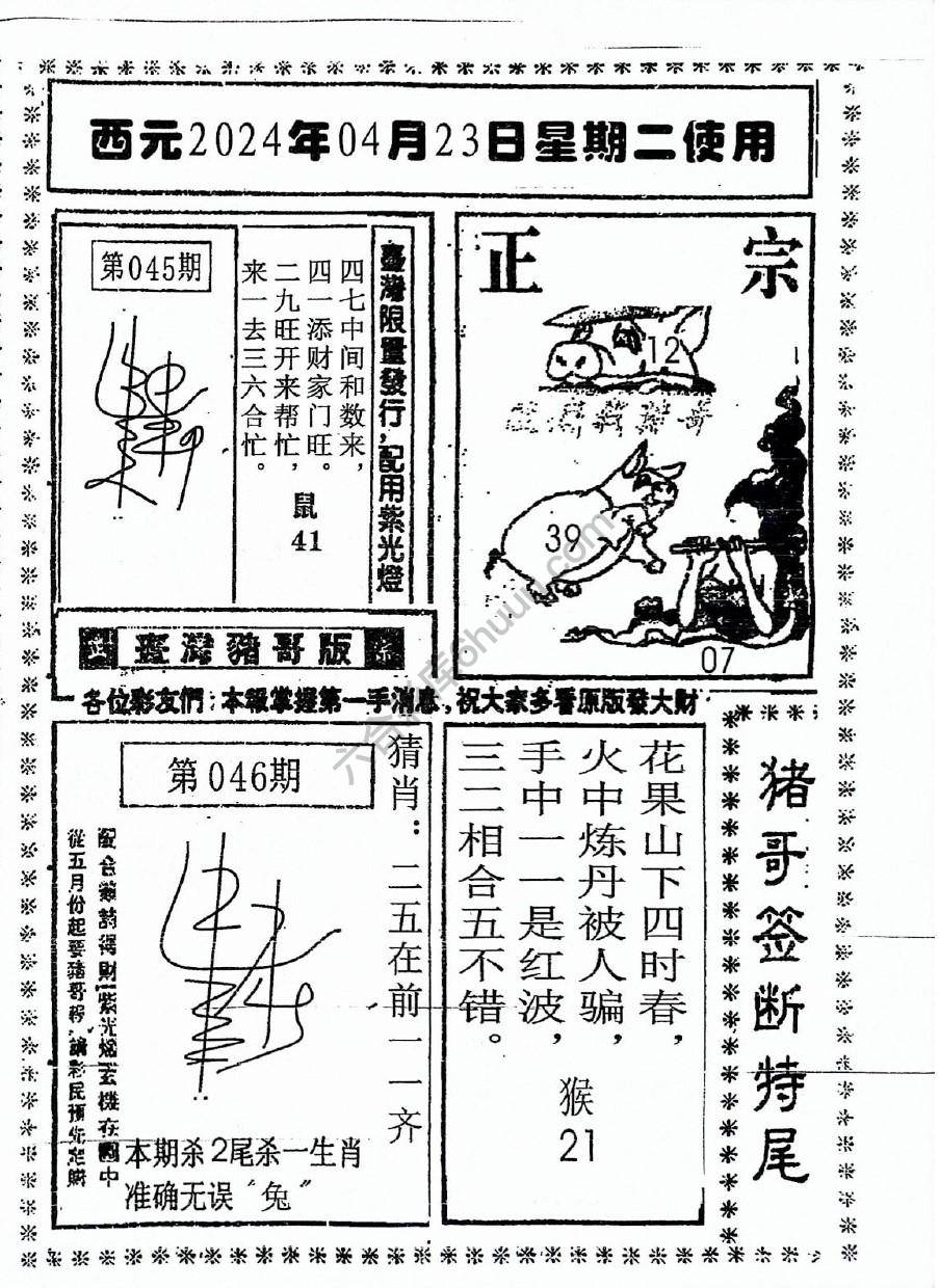 猪哥签断特尾