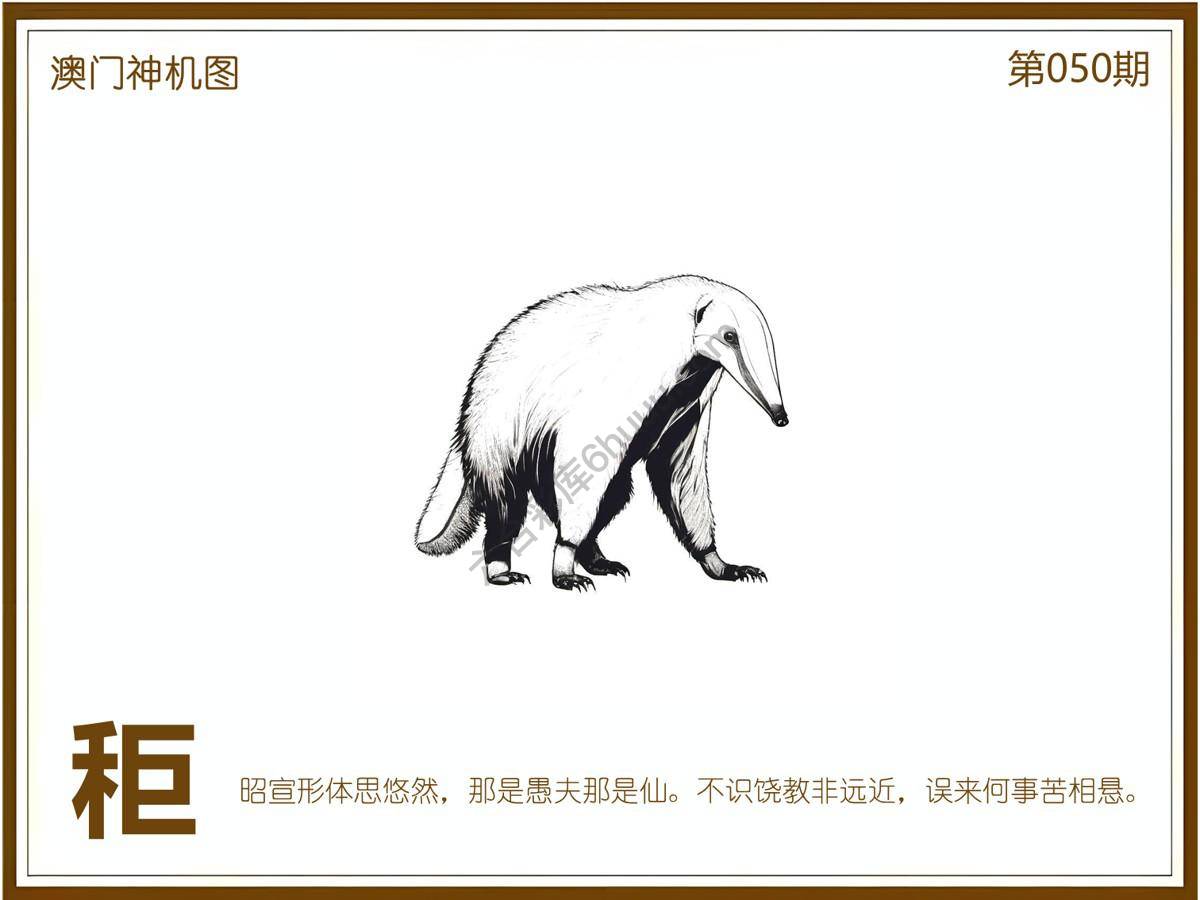 澳门神机图