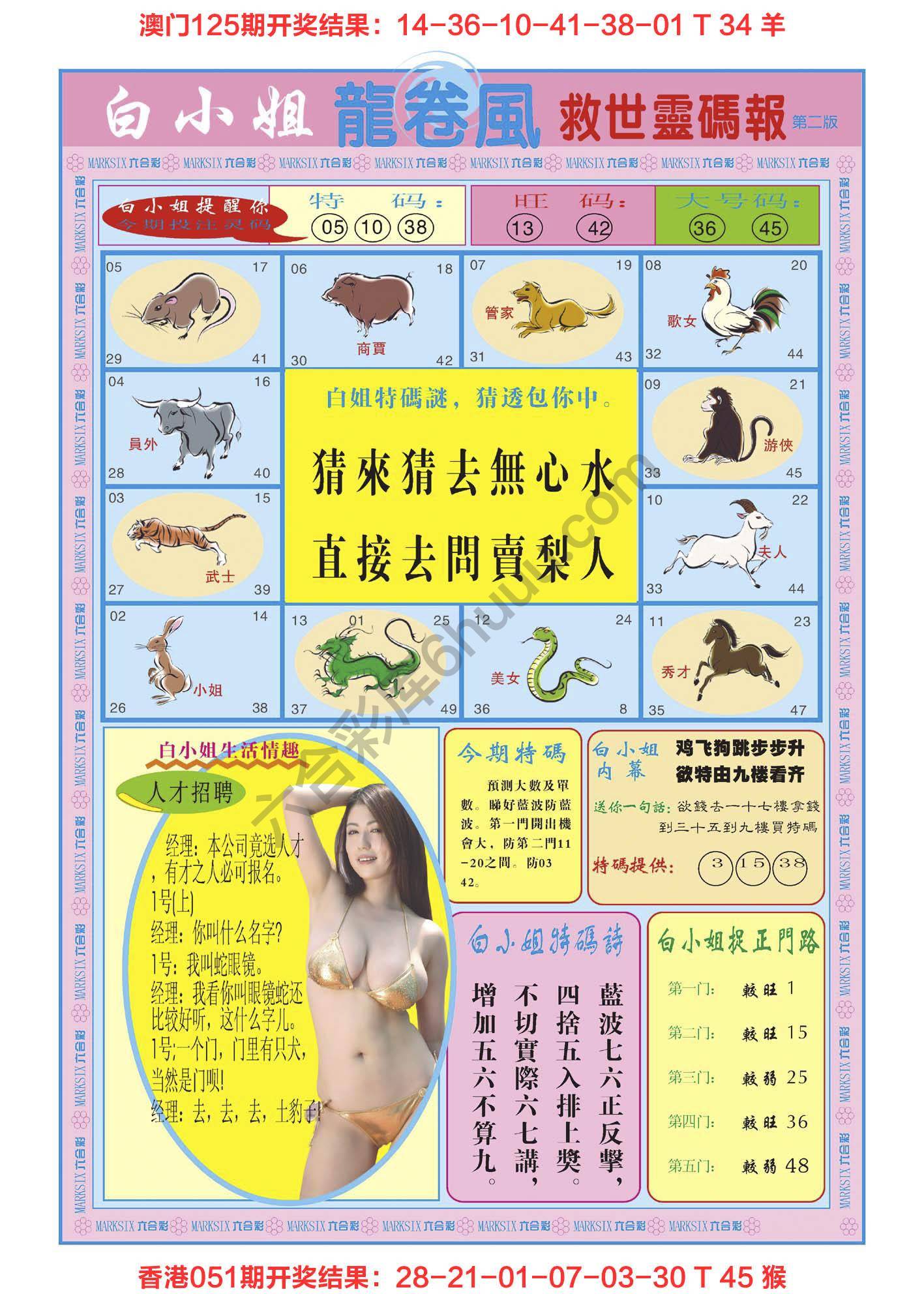 白小姐救世灵码报