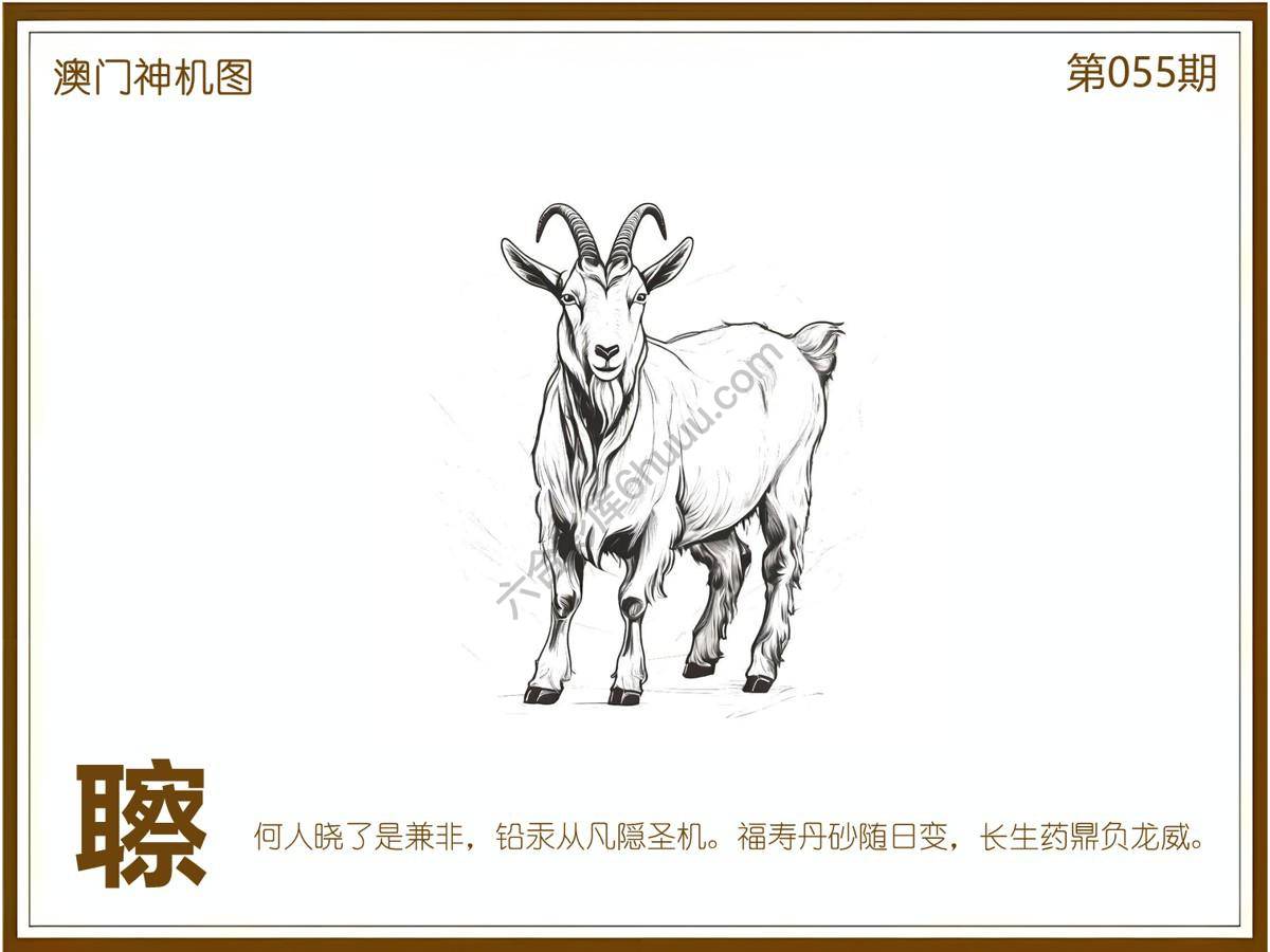 澳门神机图