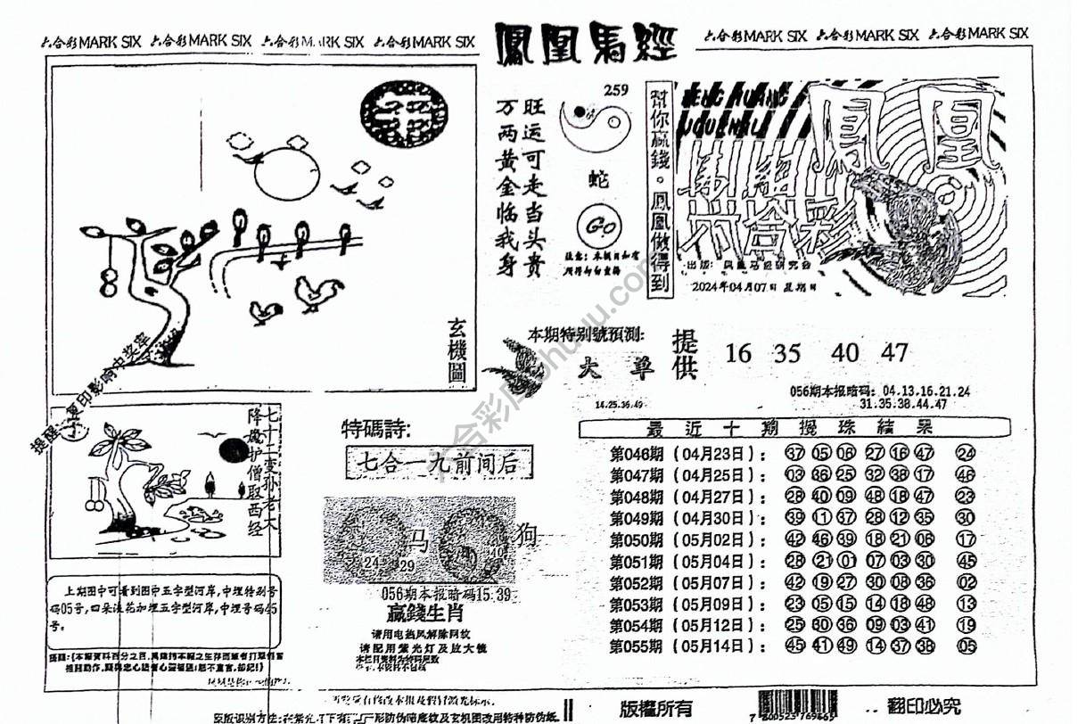 凤凰马经