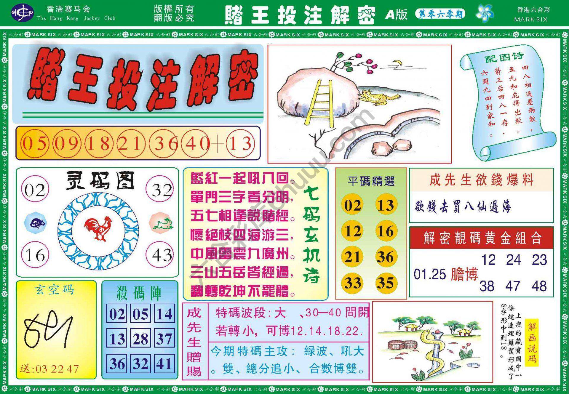 赌王投注解密