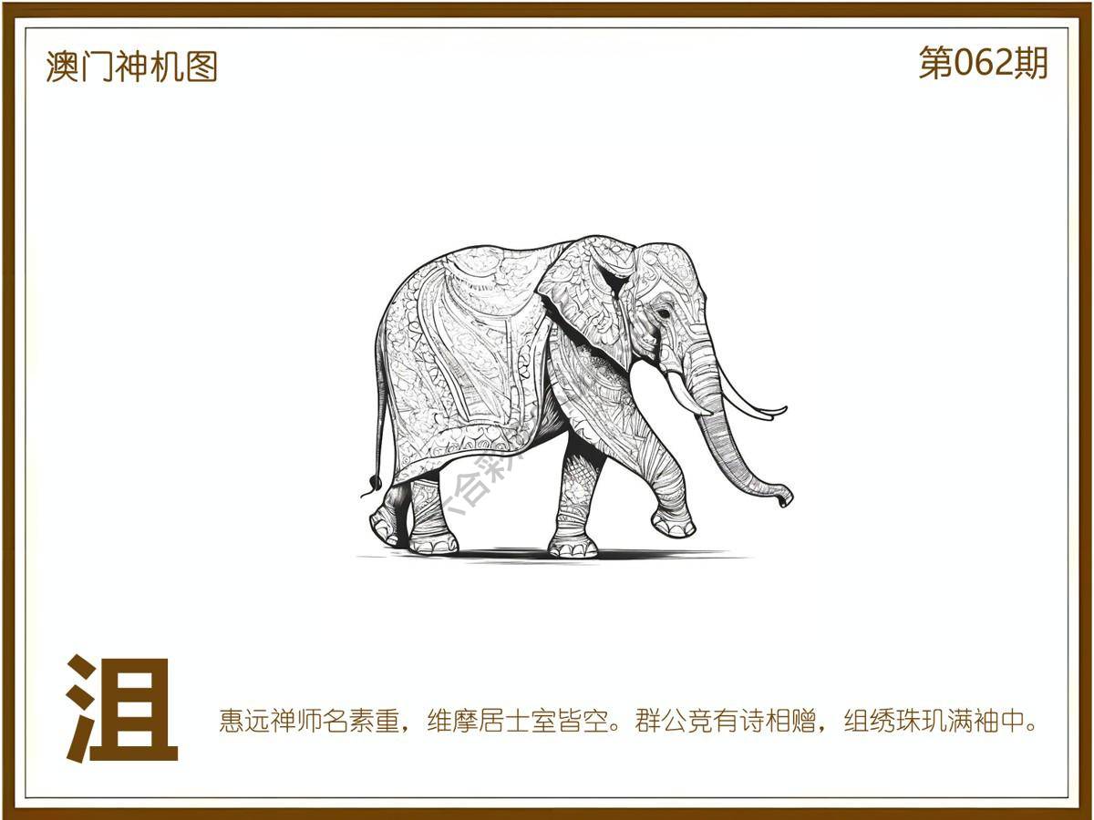 澳门神机图