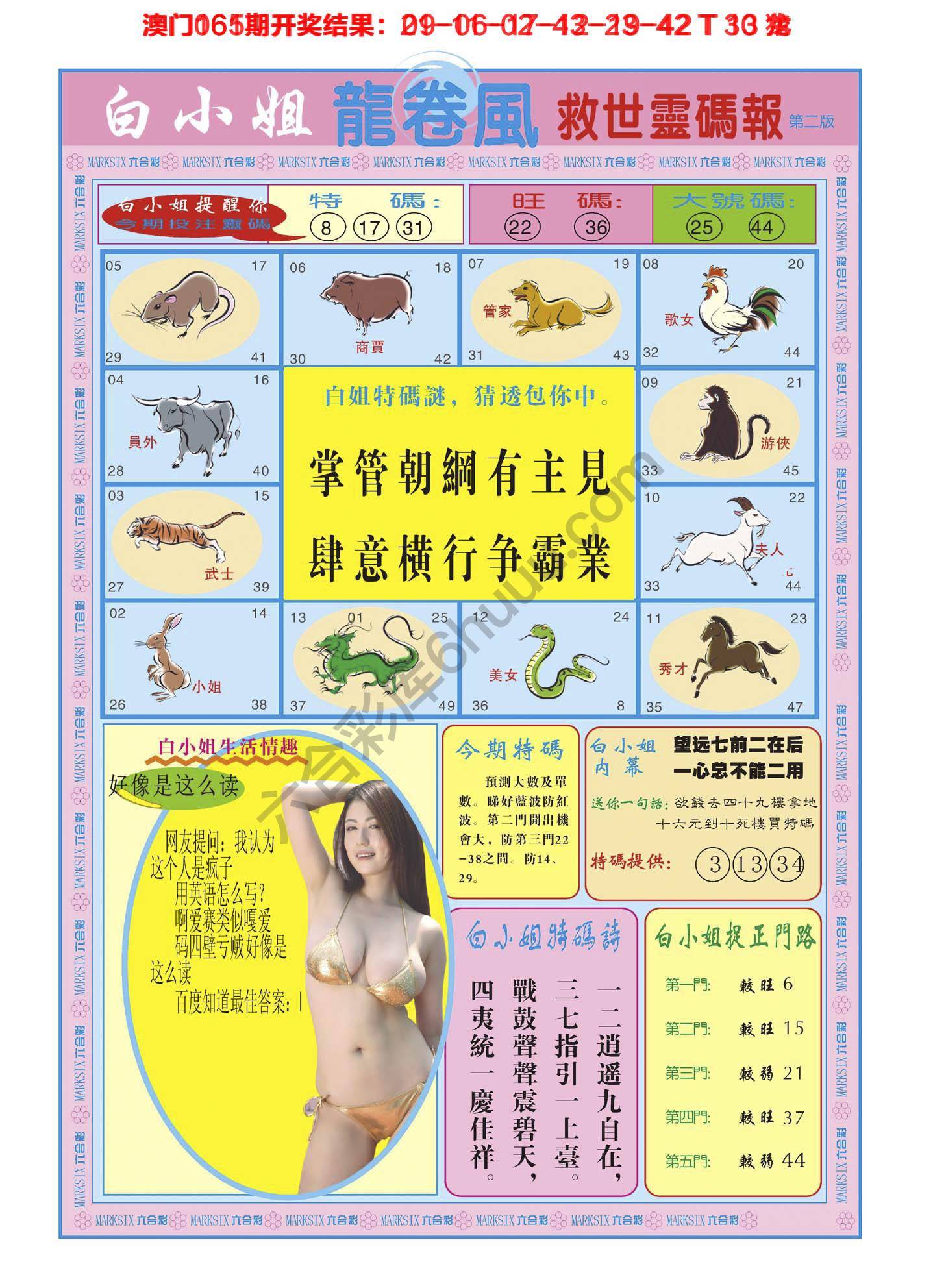 白小姐龙卷风
