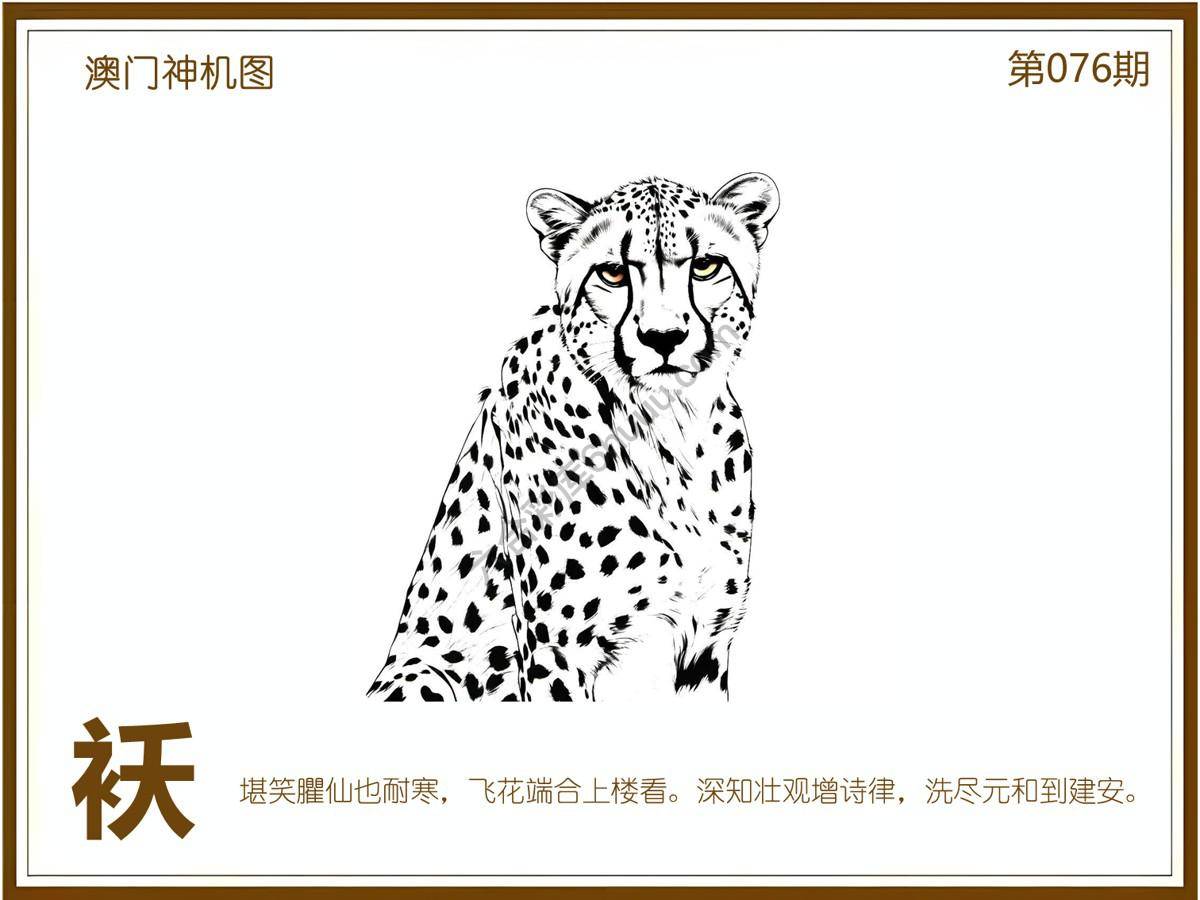 澳门神机图