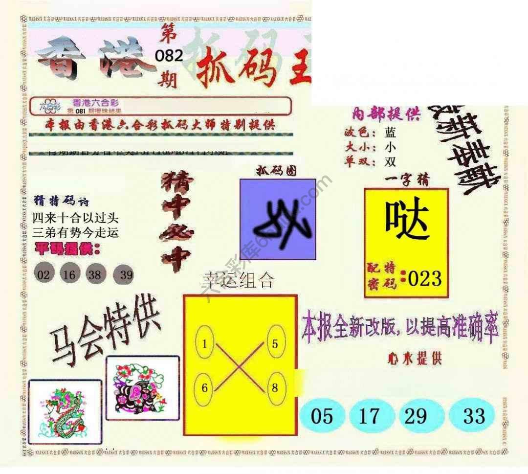 新抓码王