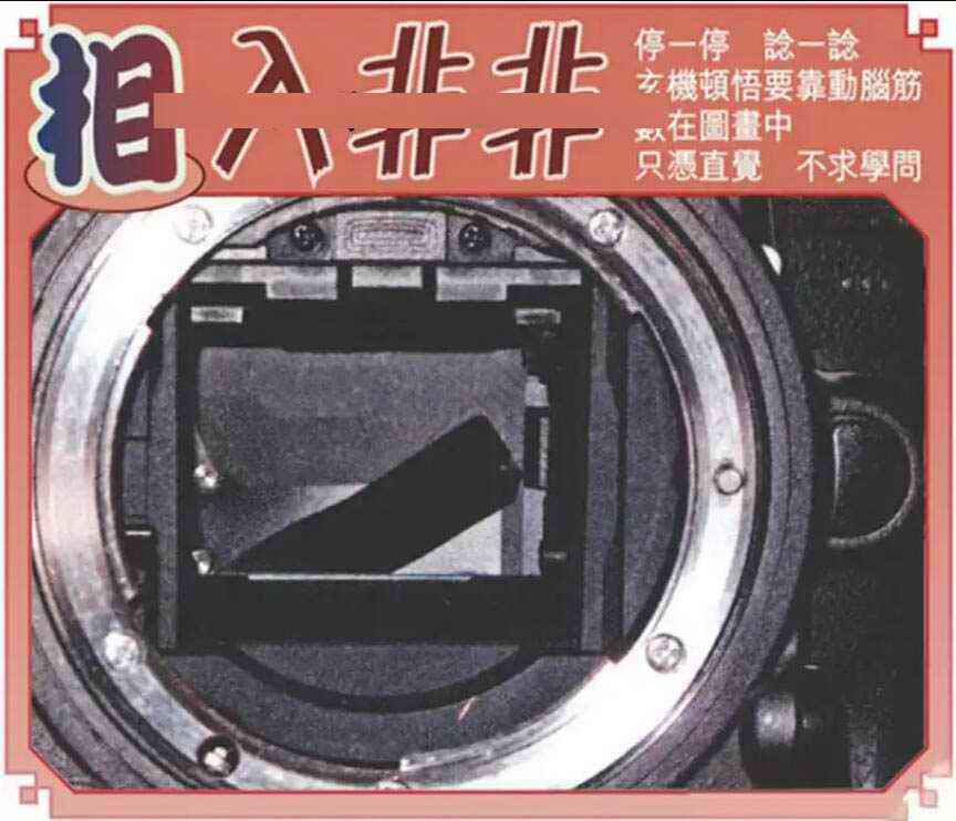 相入非非