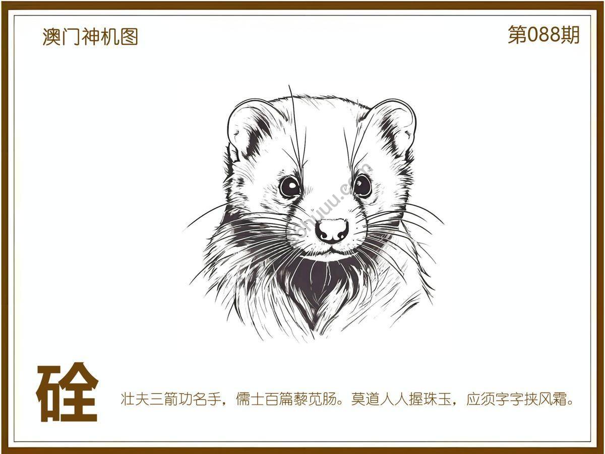澳门神机图