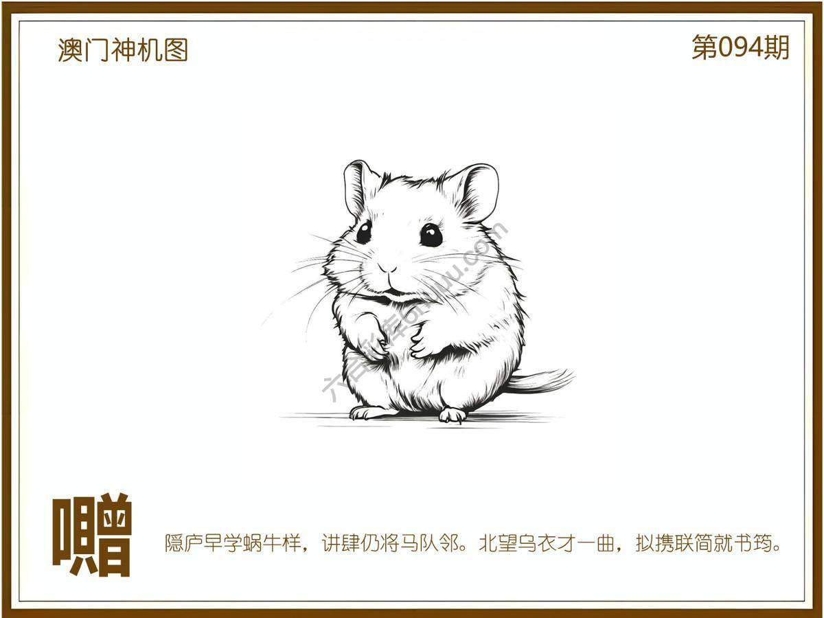 澳门神机图