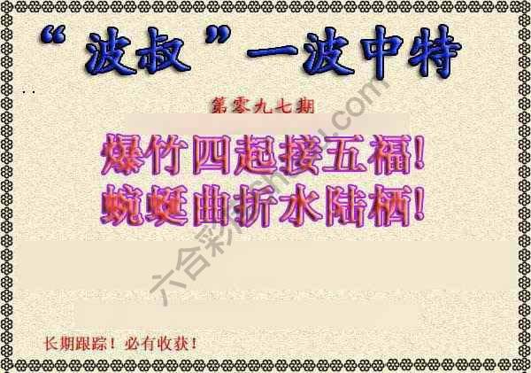 波叔一波中特