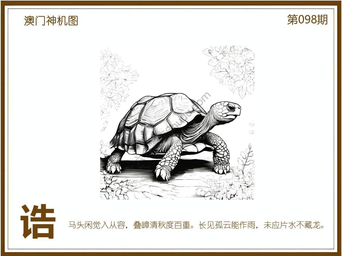 澳门神机图