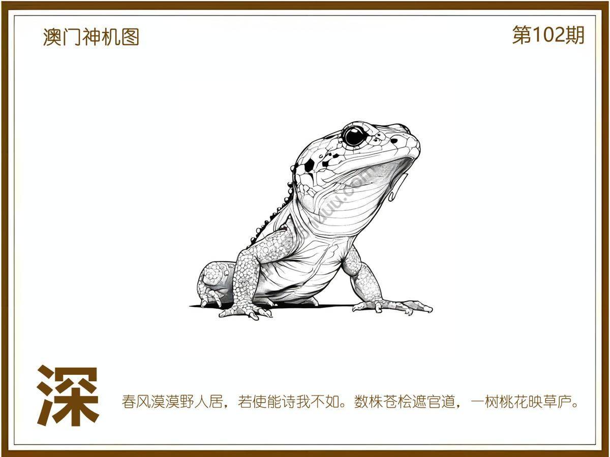 澳门神机图