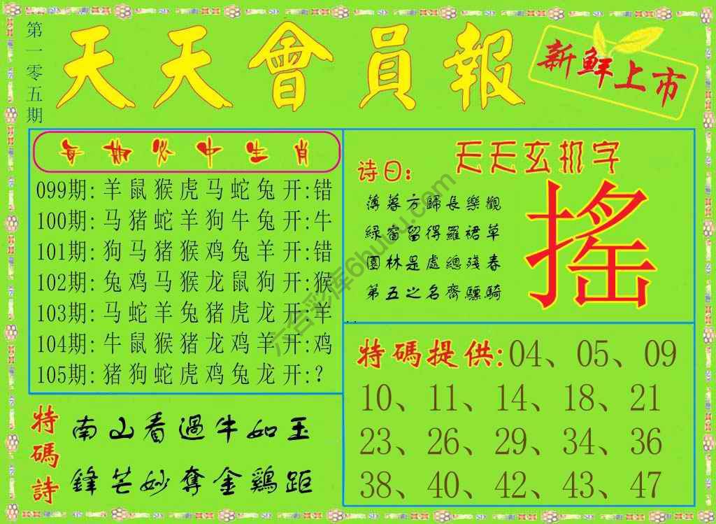 天天会员报