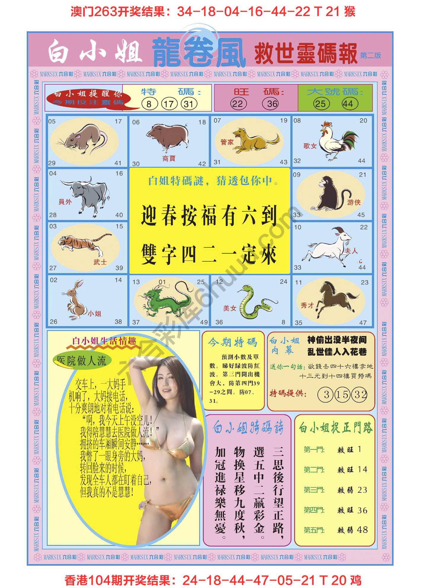 白小姐救世灵码报