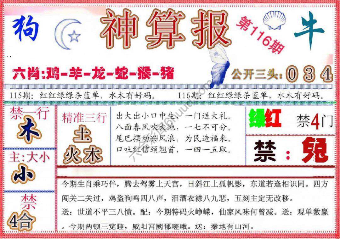 神算报新版