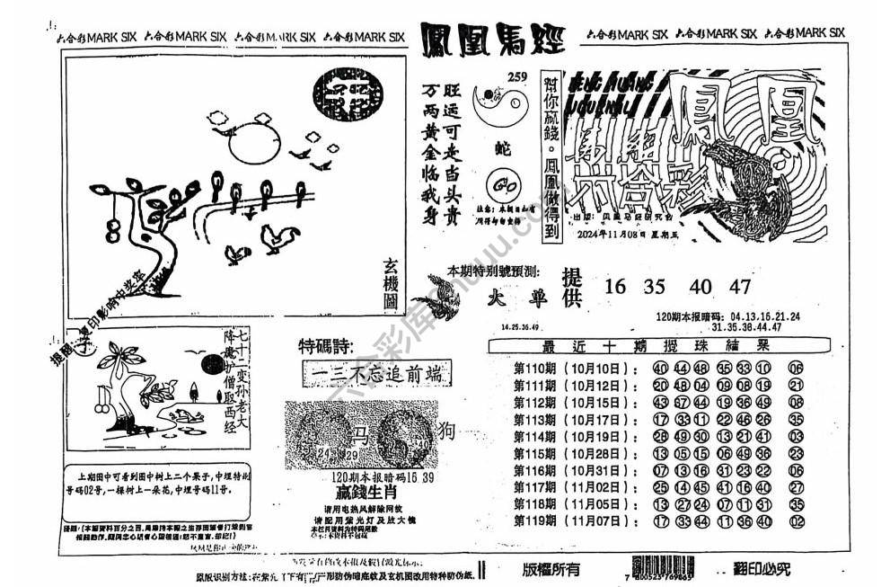 凤凰马经