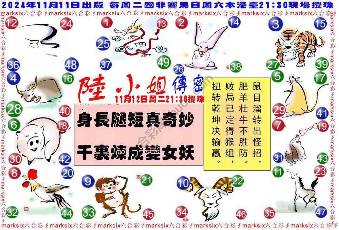 陆小姐传密