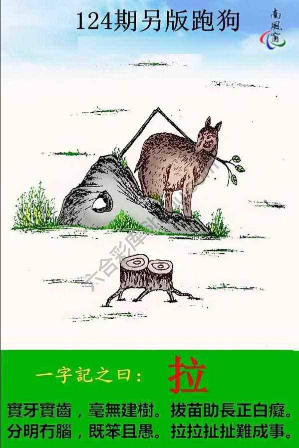 另版跑狗