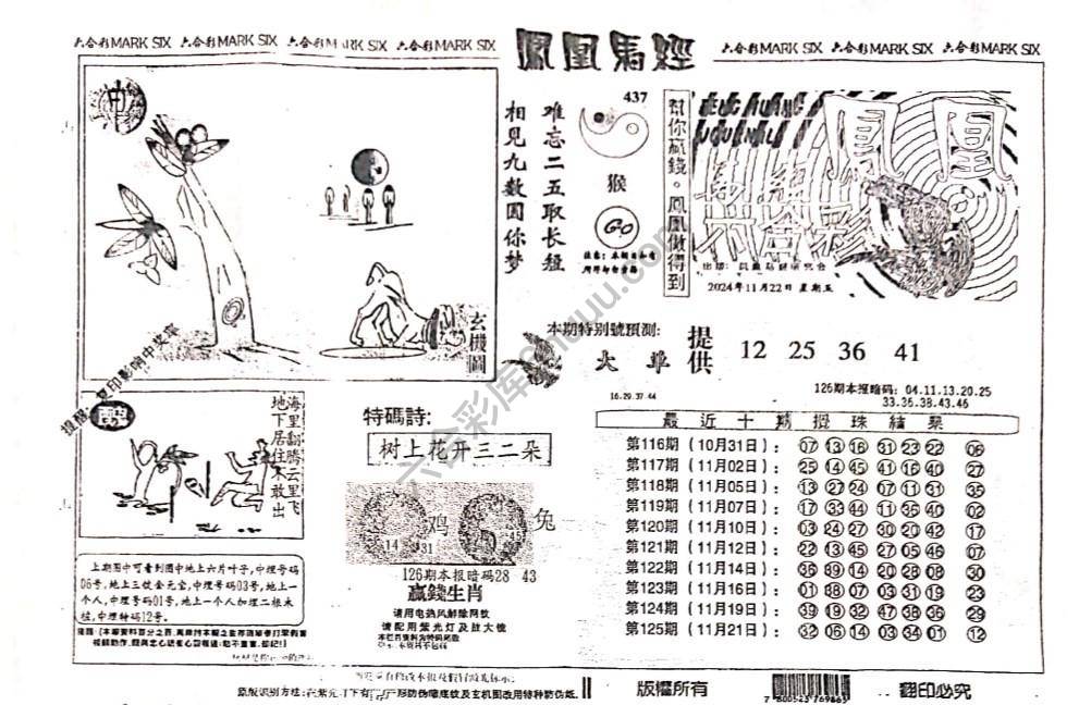 凤凰马经