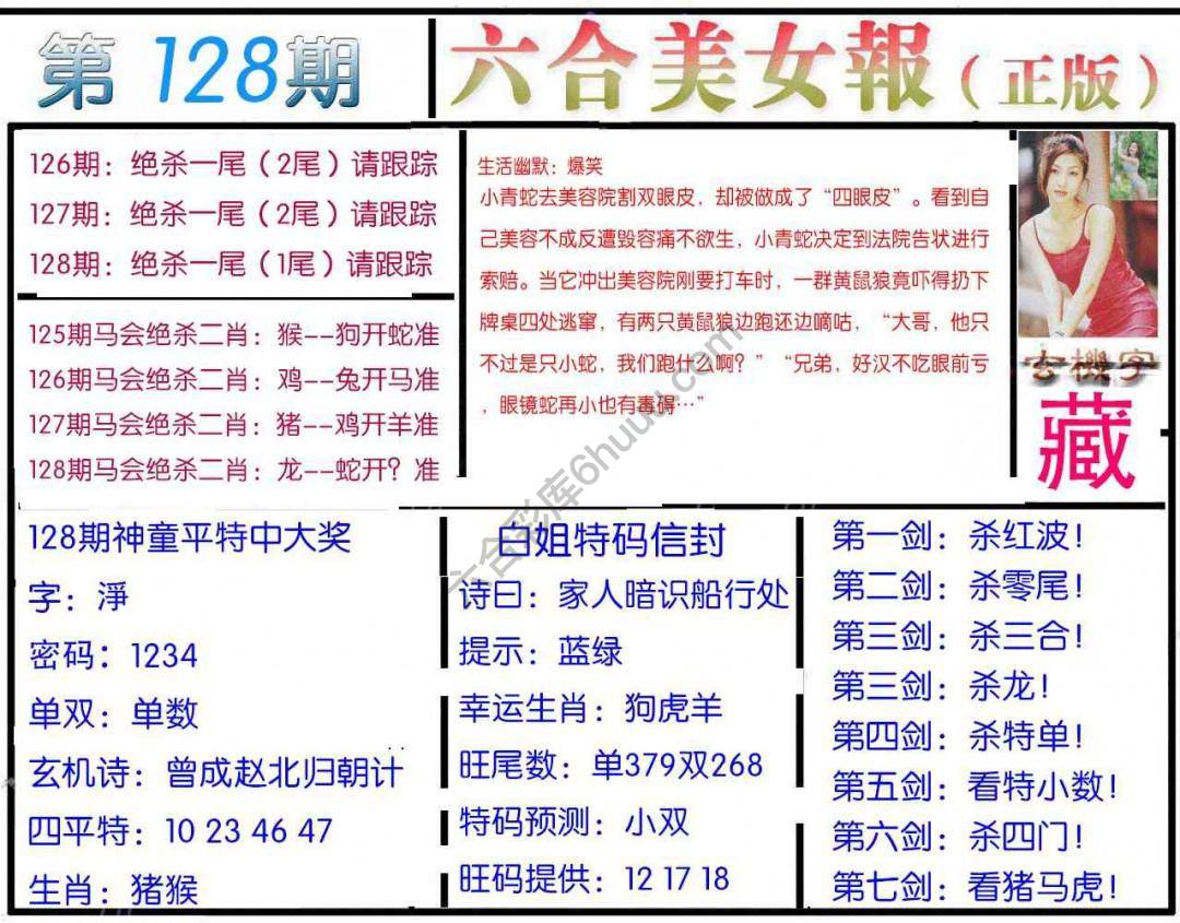 六合美女报