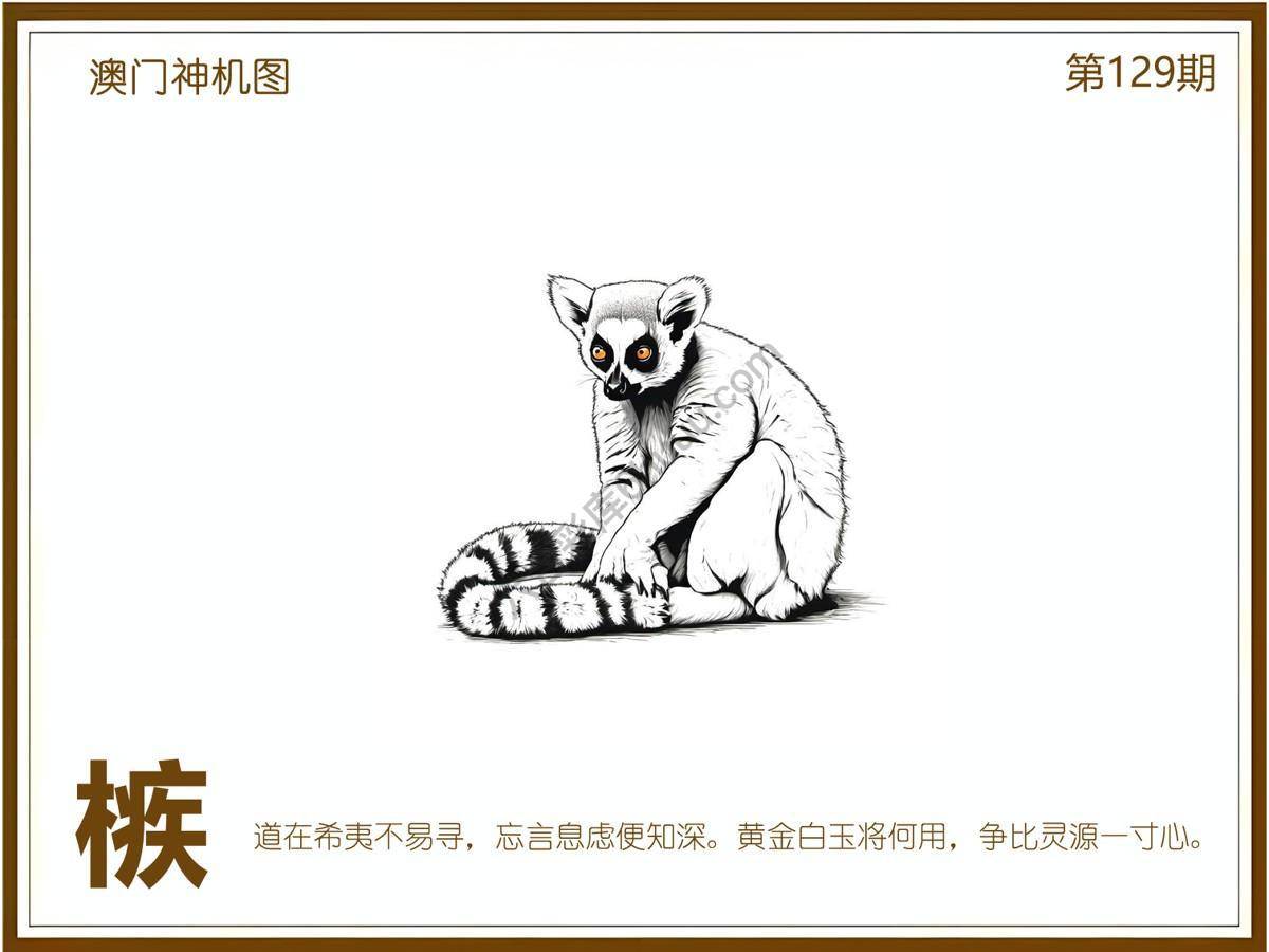 澳门神机图