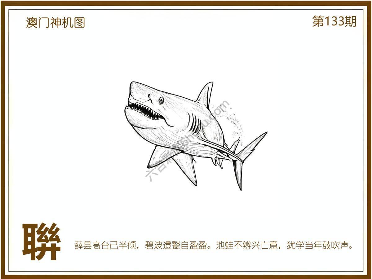 澳门神机图