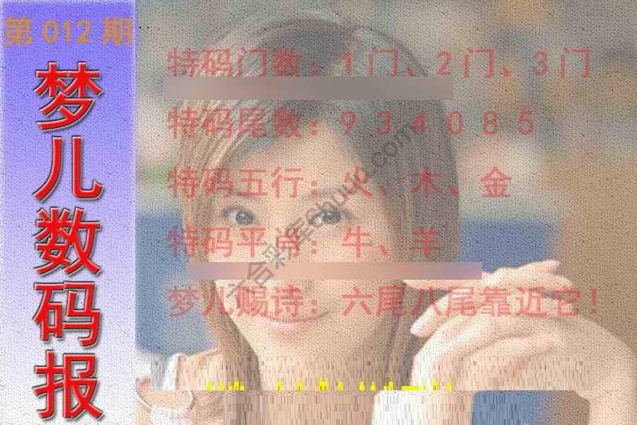 梦儿数码报