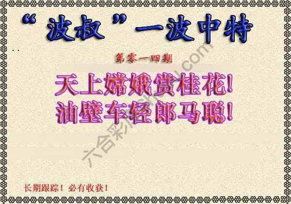 波叔一波中特