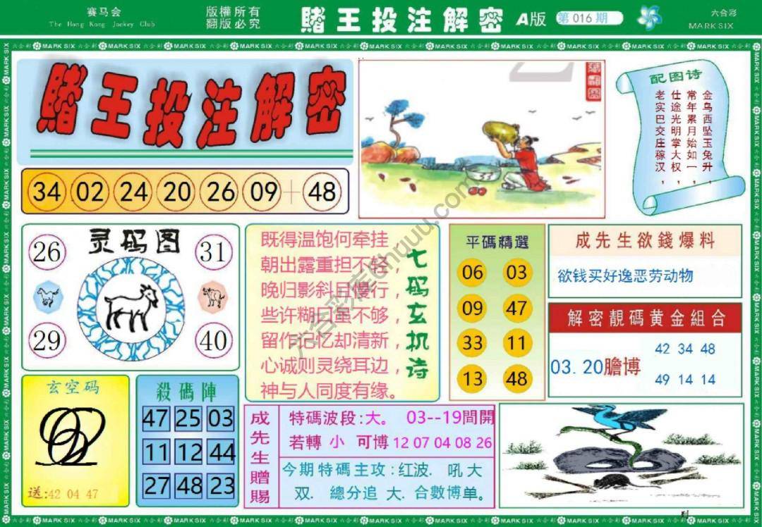 赌王投注解密