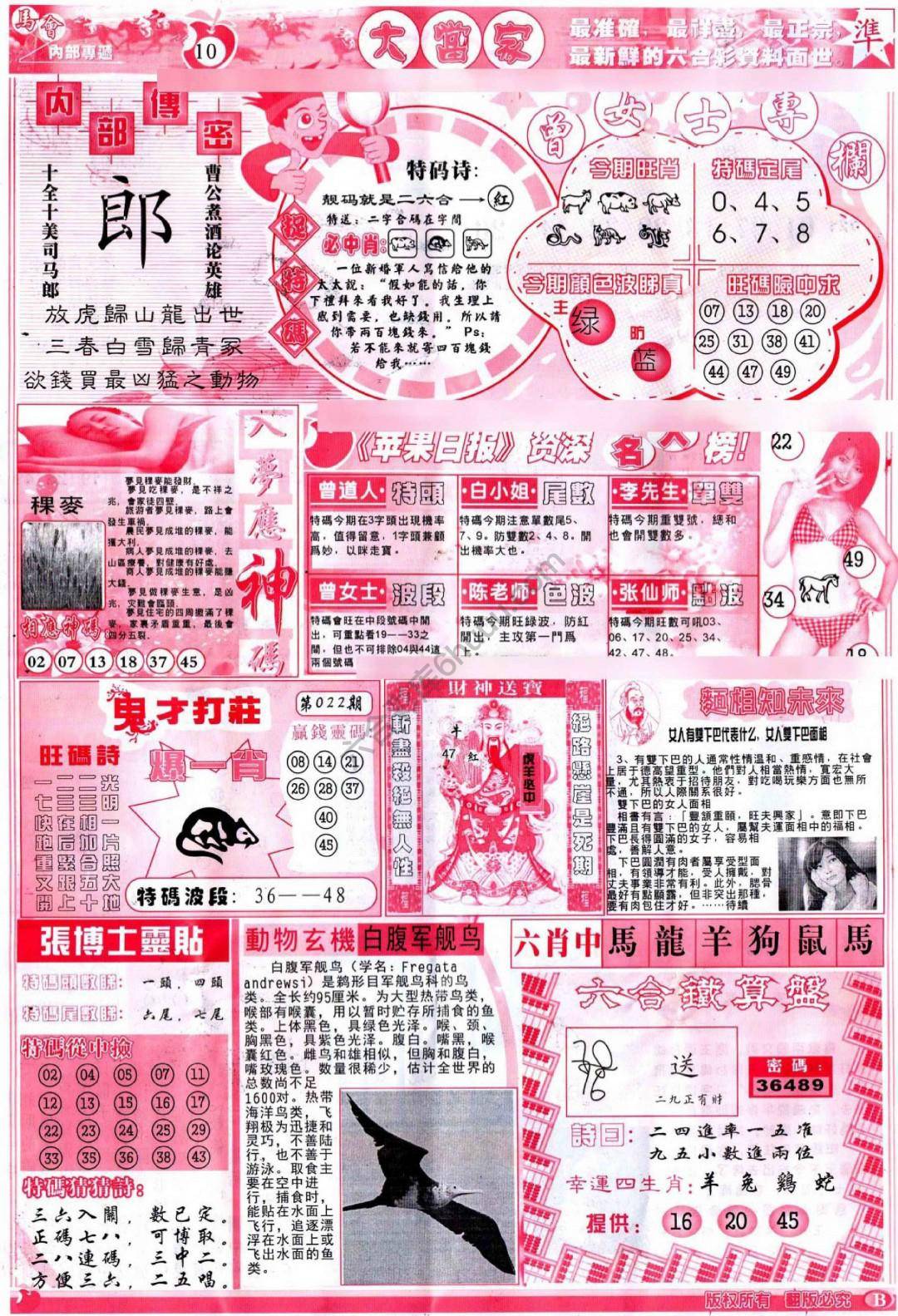 大当家