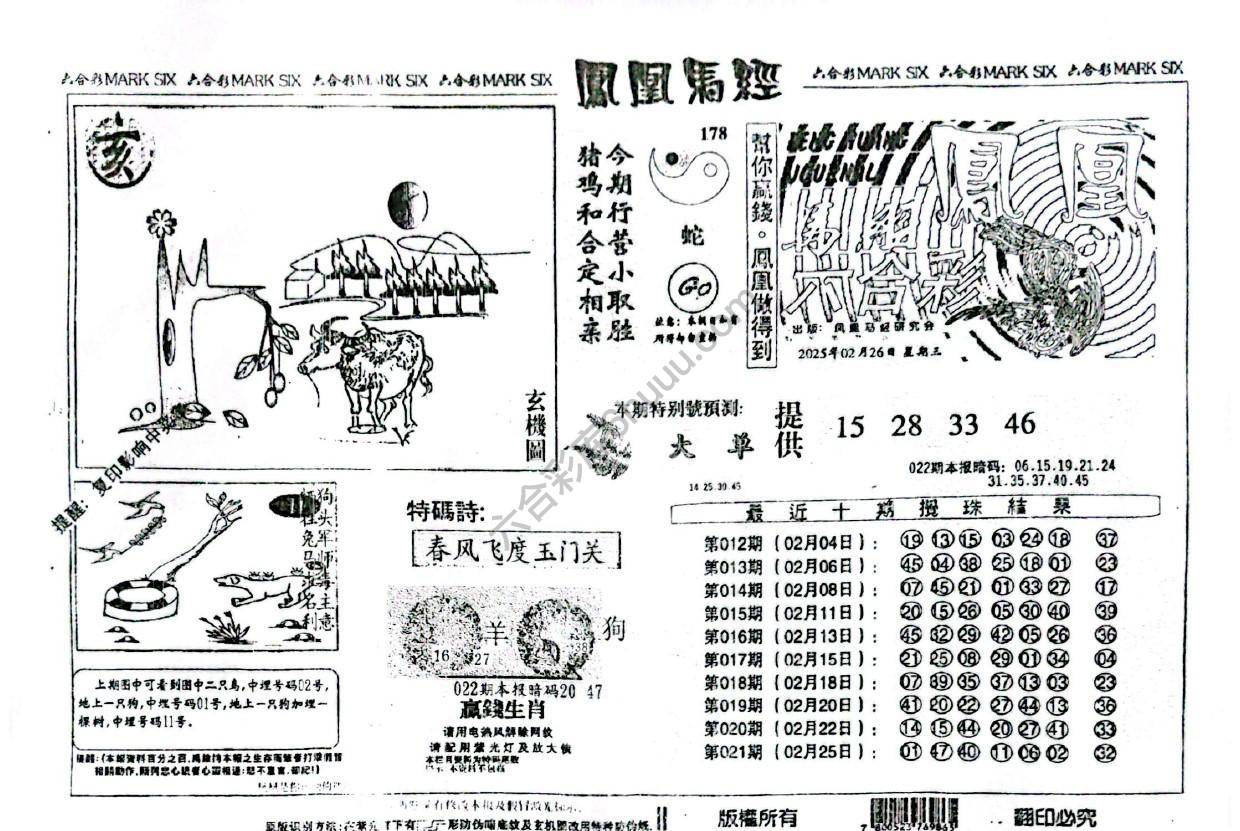 凤凰马经