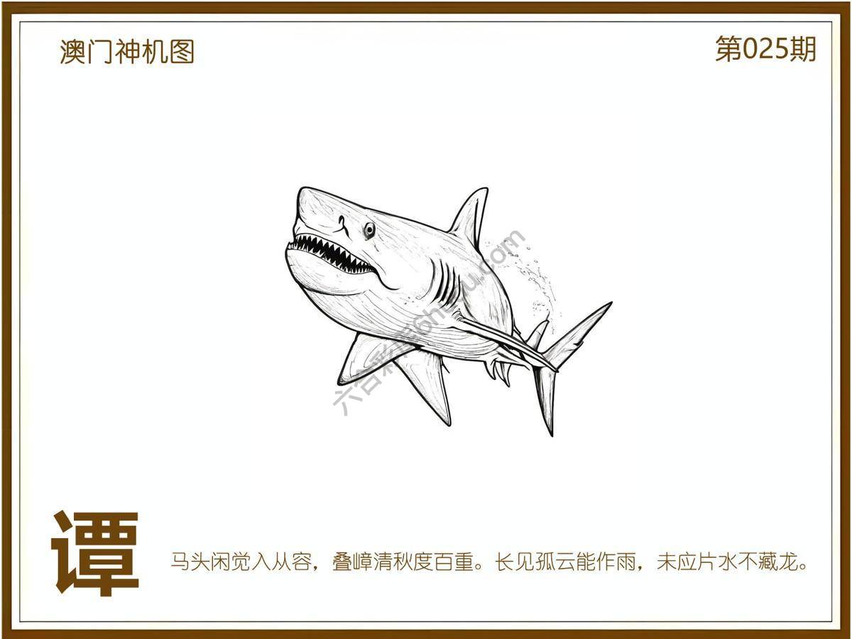 澳门神机图