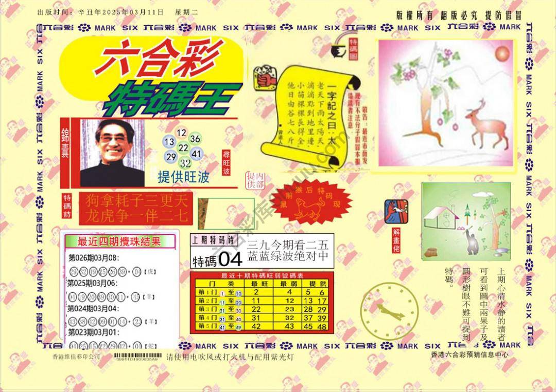 特码王