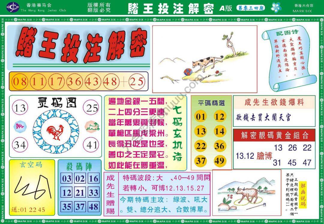赌王投注解密