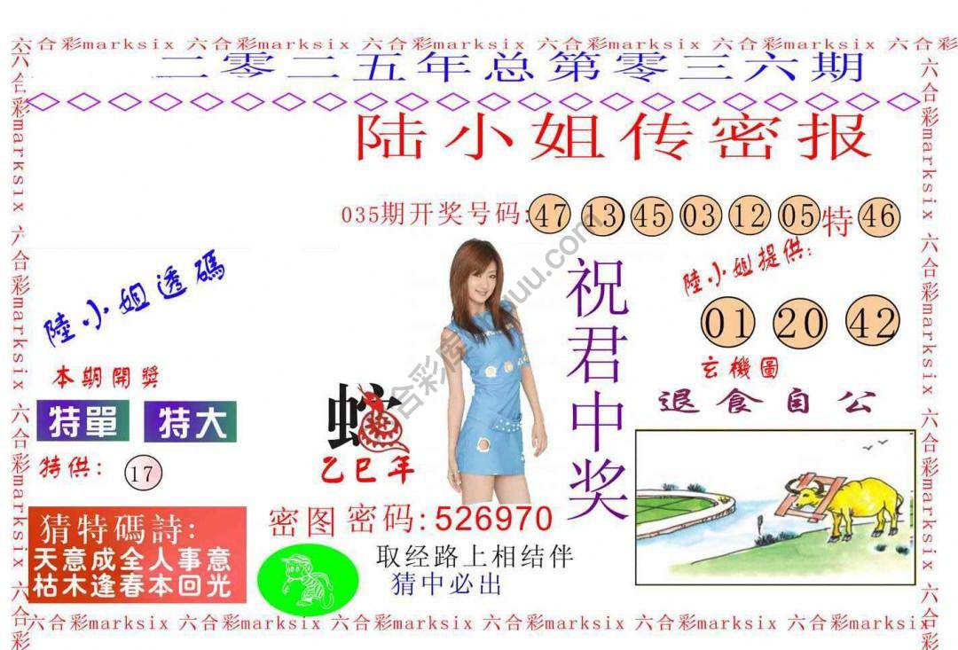 陆小姐传密