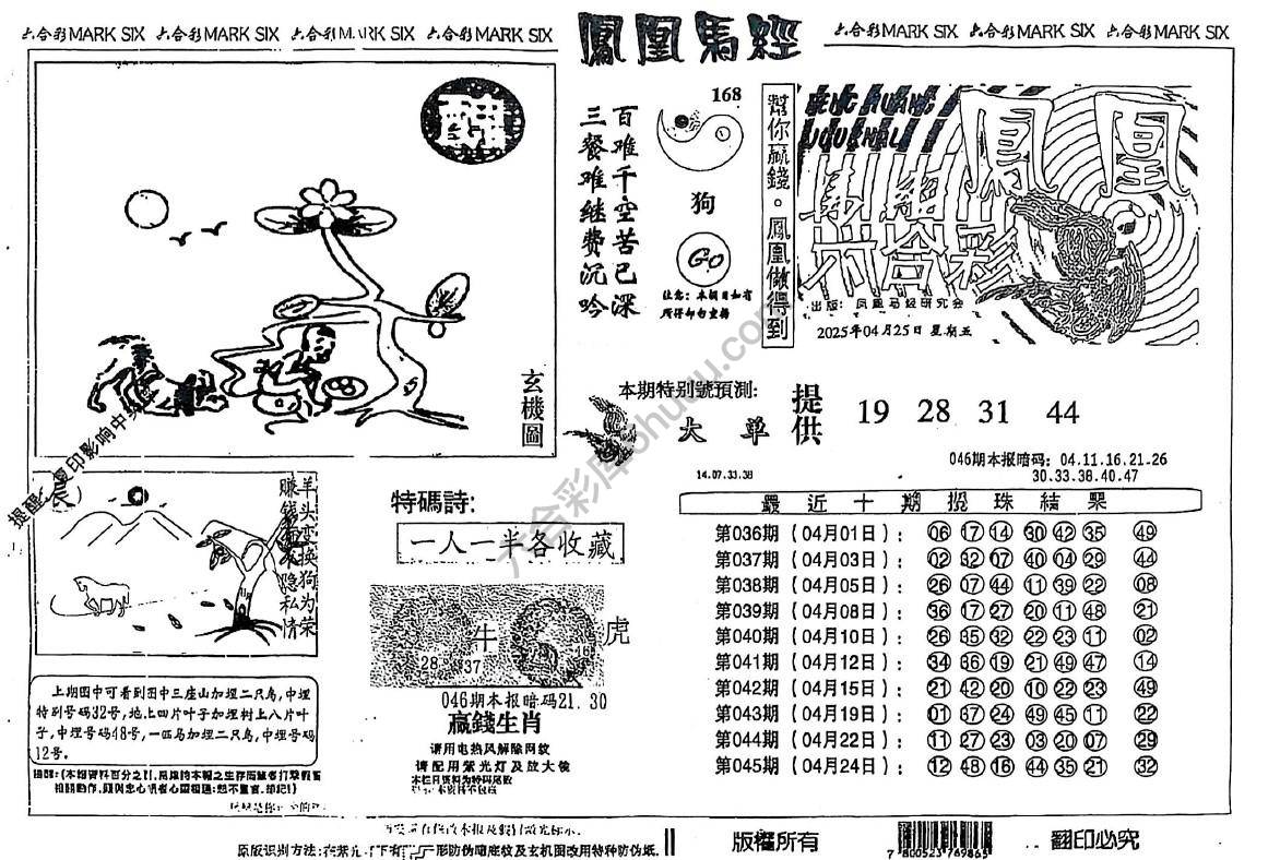 凤凰马经