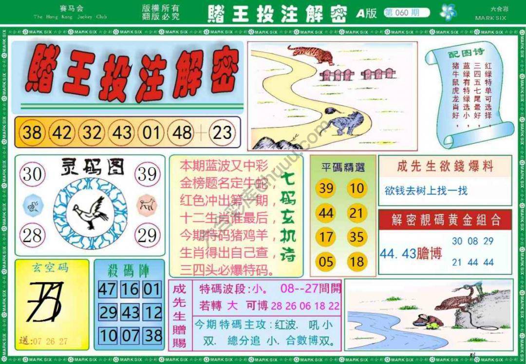 赌王投注解密