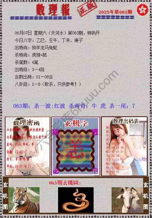 数理报