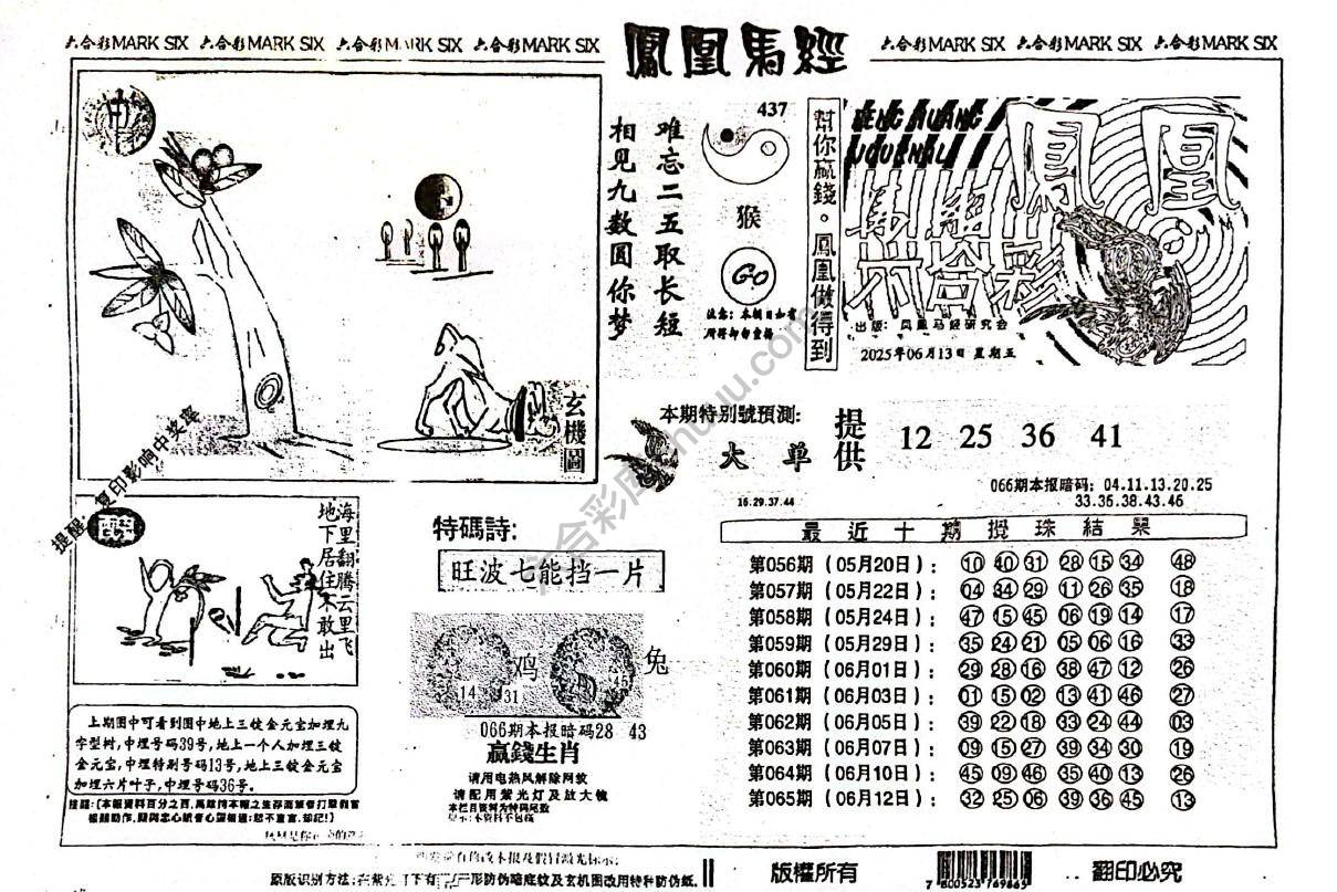 凤凰马经