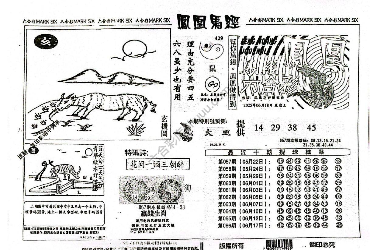 凤凰马经