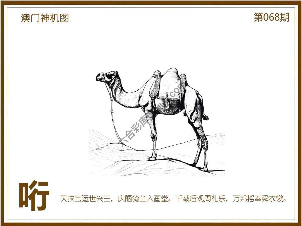 澳门神机图