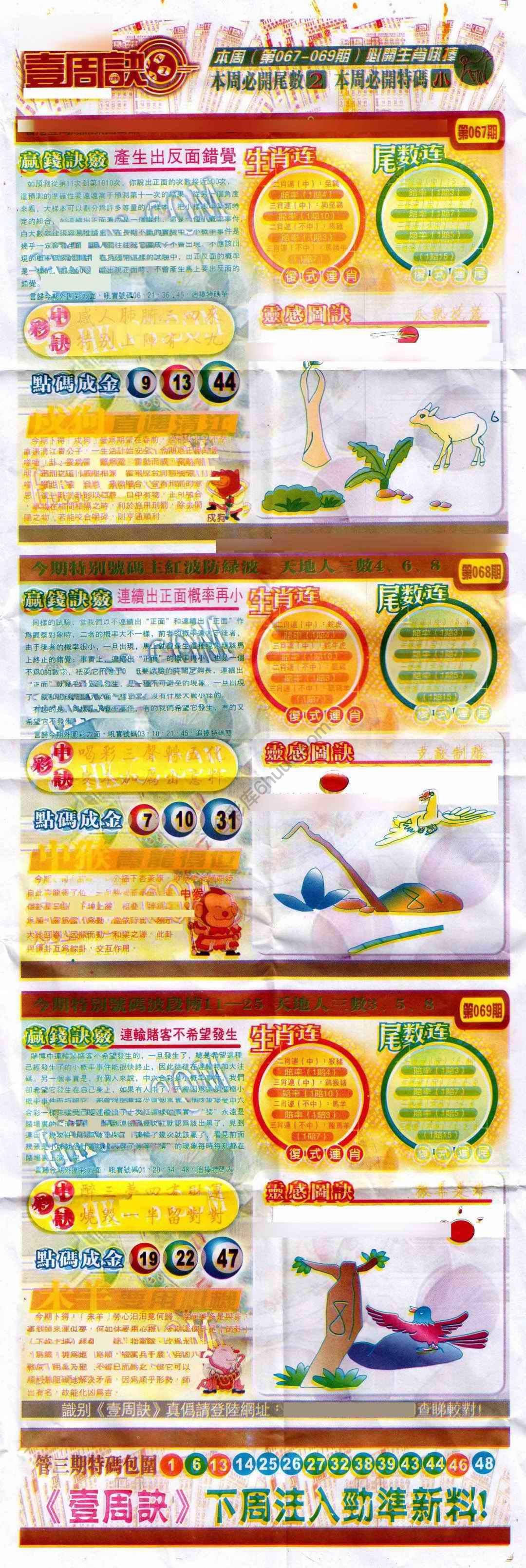 一周决