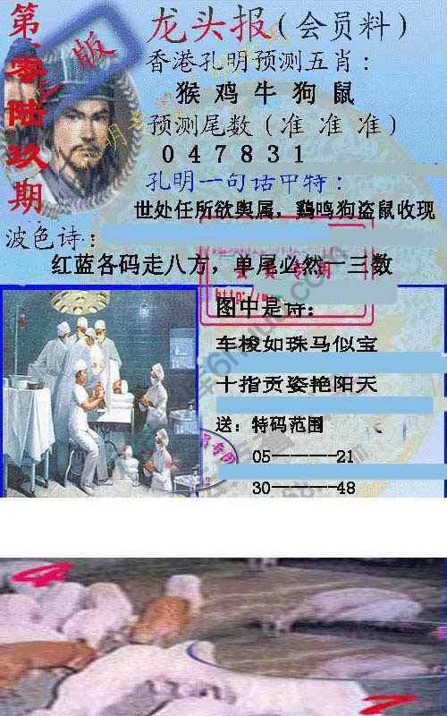 龙头报